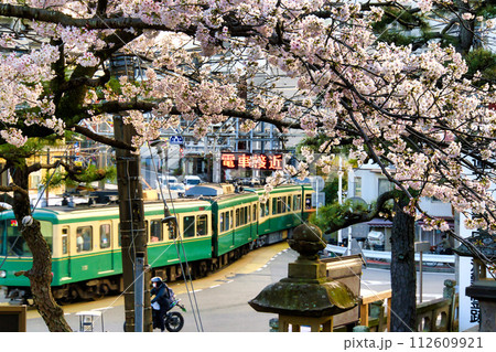 江ノ電と桜 江ノ電と桜 112609921