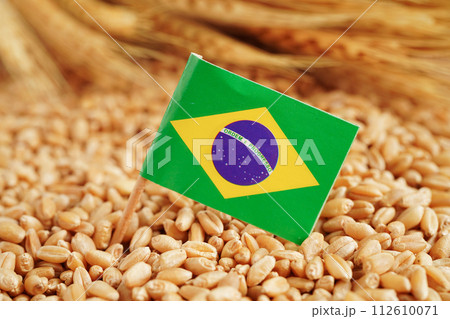 Brazil flag on grain wheat, trade export and economy concept. 112610071