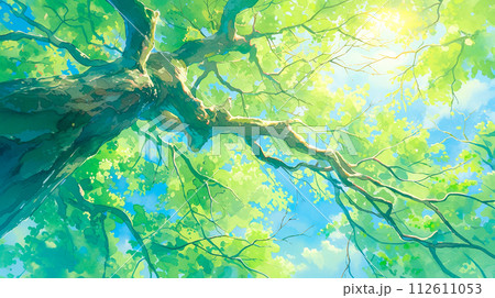 下から見上げた葉を茂らせた樹幹の水彩イラスト背景 112611053