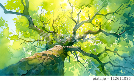 下から見上げた葉を茂らせた樹幹の水彩イラスト背景 112611056