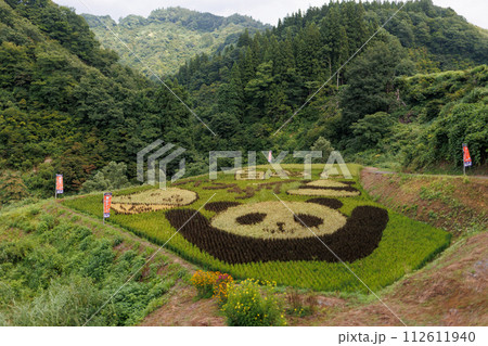 越後松代棚田群 星峠の棚田（新潟県） 112611940