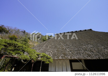 茅葺民家と白い花　史跡賀名生皇居　堀家住宅 112611996