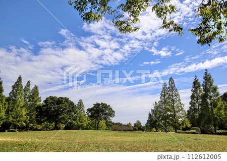 青空と広場 112612005