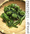 春の山菜こごみ 112612662