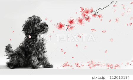 桜の花びらと戯れているトイプードル