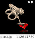 人体の鼓膜 112613780