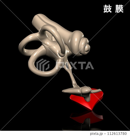 人体の鼓膜 人体の鼓膜 112613780