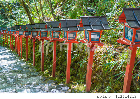 京都の貴船神社の灯篭が並んだ階段 京都の貴船神社の灯篭が並んだ階段 112614215