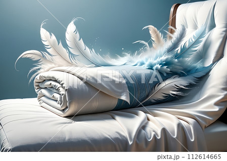feathers and down thick blanket feathers and down thick blanket 112614665