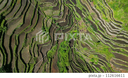 Batad Rice Terraces in Philippines Batad Rice Terraces in Philippines 112616611