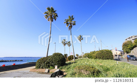 美しい海岸の風景 112618031