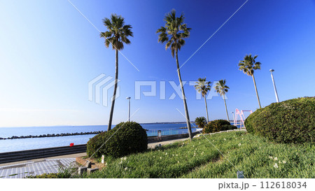 美しい海岸の風景 112618034