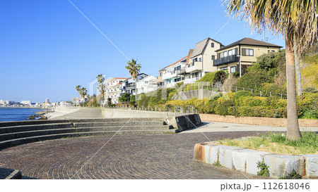 美しい海岸の風景 112618046