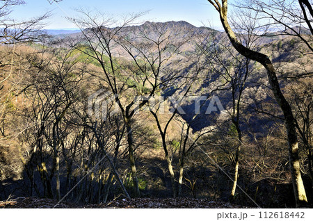 丹沢の辺室山 辺室山縦走コースより相州アルプスを望む 丹沢の辺室山 辺室山縦走コースより相州アルプスを望む 112618442