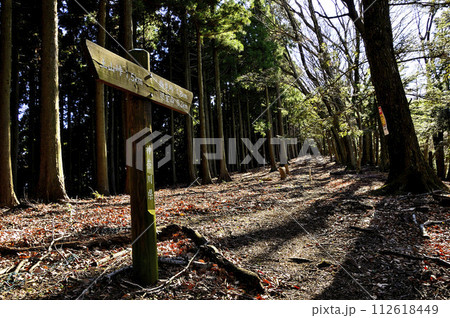 丹沢の辺室山 辺室山縦走コースの直登の山道 丹沢の辺室山 辺室山縦走コースの直登の山道 112618449