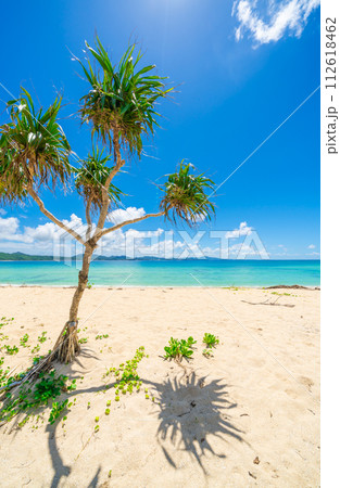 沖縄の海 112618462