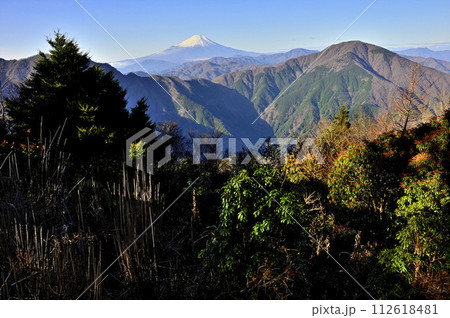 丹沢の袖平山山頂より望む富士山と大室山 丹沢の袖平山山頂より望む富士山と大室山 112618481