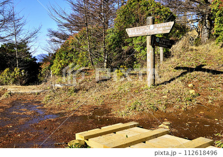 初冬の丹沢 姫次展望台 初冬の丹沢 姫次展望台 112618496