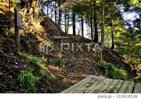 丹沢の大山三峰山　大山三峰縦走コース　物見峠手前の分岐の休憩所 112618526