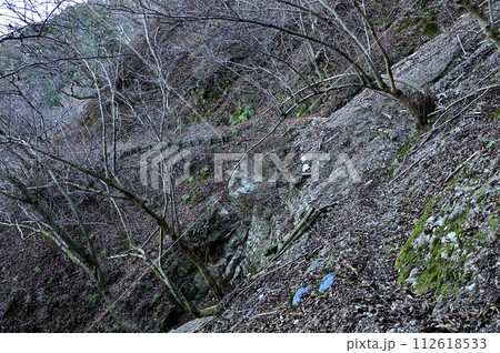 崩落した斜面を通る危険な登山道　丹沢の大山三峰山 112618533