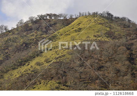 丹沢山地の丹沢山より 晴れ行く不動ノ峰 丹沢山地の丹沢山より 晴れ行く不動ノ峰 112618668
