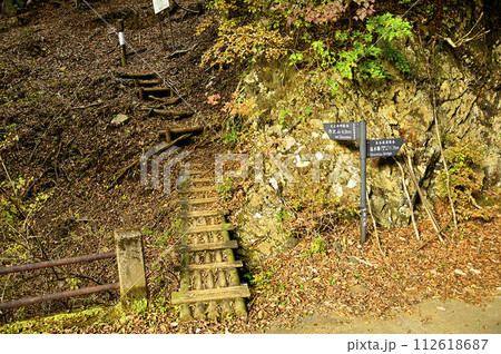 秋の丹沢 丹沢山の本谷林道出合 秋の丹沢 丹沢山の本谷林道出合 112618687