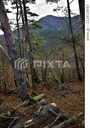 丹沢の袖平山 朝の袖平山北尾根より眺める黍殻山 丹沢の袖平山 朝の袖平山北尾根より眺める黍殻山 112618697