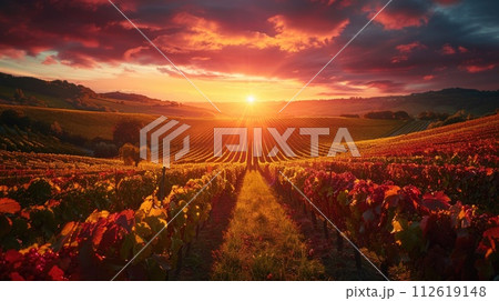 AI-generated content. The sun is setting over a vineyard, casting a warm glow on the rows of grapevines. 112619148