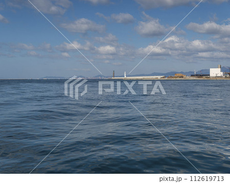 コスモスクエア海浜緑地から見る大阪港と神戸港の風景 112619713