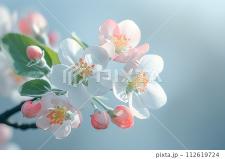 Spring, bloom, petals, branch, tree, day, fruit, life, tender, white, pink, blue, plan, large, illustrations, foliage, greens, nature, Awakening, tender, fragile, thin, stem, bark, bokeh , blurred, ar 112619724