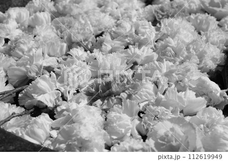 早春の花手水 早春の花手水 112619949
