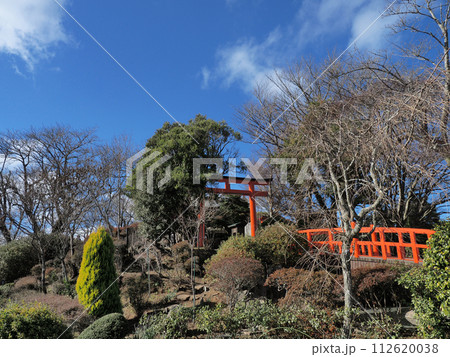 伊豆 葛城神社 1月 伊豆 葛城神社 1月 112620038