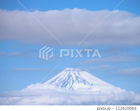 伊豆　葛城山から見た富士山　1月 112620068