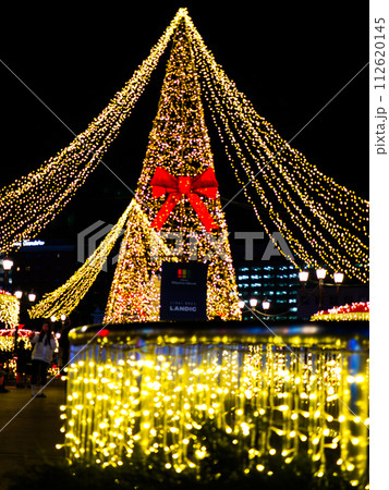 福博であい橋上(天神中央公園)の「ナカス ヒカリノ アドベント」のクリスマスツリーのイルミネーション 福博であい橋上(天神中央公園)の「ナカス ヒカリノ アドベント」のクリスマスツリーのイルミネーション 112620145
