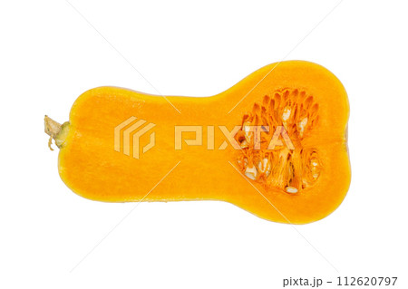 バターナッツかぼちゃ【山形県産】 バターナッツかぼちゃ【山形県産】 112620797