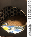 眠る猫 112621940
