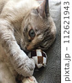 ボールと猫 112621943