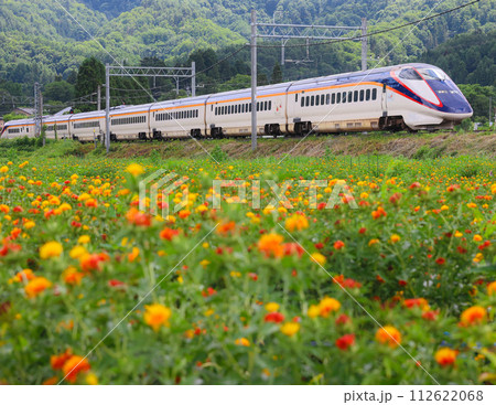 紅花畑の中を走る山形新幹線E3系1000番台 紅花畑の中を走る山形新幹線E3系1000番台 112622068