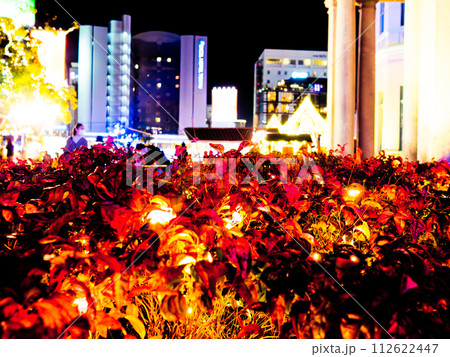 福博であい橋で開催された「ナカス ヒカリノ アドベント」のライトアップされた紅葉と那珂川沿いの夜景 福博であい橋で開催された「ナカス ヒカリノ アドベント」のライトアップされた紅葉と那珂川沿いの夜景 112622447