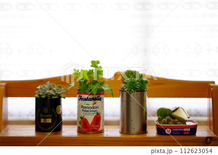 窓辺に置かれた空き缶に植えられた植物 窓辺に置かれた空き缶に植えられた植物 112623054