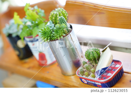 窓辺に置かれた空き缶に植えられた植物 112623055