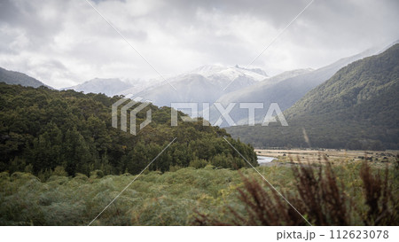 Alpine valley with dense forest and big snowy mountains in backdrop, New Zealand Alpine valley with dense forest and big snowy mountains in backdrop, New Zealand 112623078