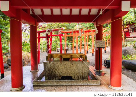 （静岡県）来宮神社・稲荷社鳥居 112623141