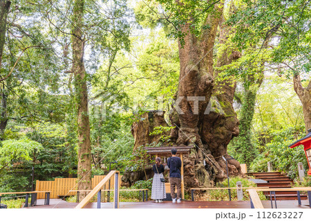 （静岡県）来宮神社・樹齢2000年の大楠　参拝者 112623227