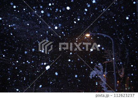 雪降る夜 112623237