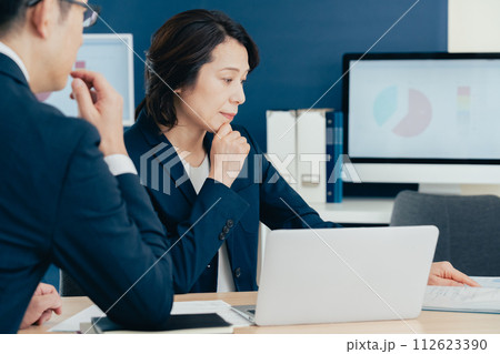 ミーティングするビジネスウーマン 112623390