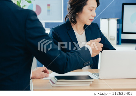 ミーティングするビジネスウーマン 112623403