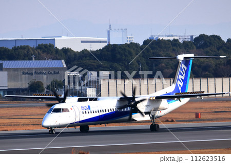 大阪国際空港　ANA　ボンバルディア　DHC8-Q400 プロペラ機　着陸態勢　スカイパーク 112623516