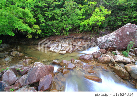 緑が鮮やかで美しい初夏の野呂川 緑が鮮やかで美しい初夏の野呂川 112624314