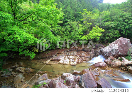 緑が鮮やかで美しい初夏の野呂川 緑が鮮やかで美しい初夏の野呂川 112624316